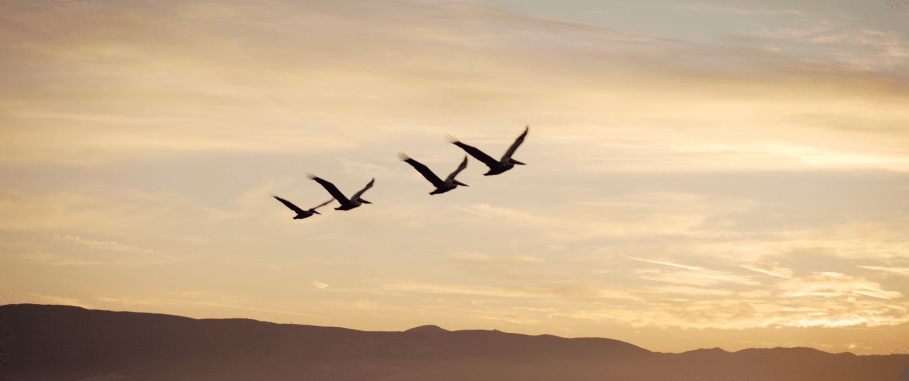 Branded Content "Nikkei Norteño" — imagen 1